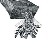 Inconel and Graphite Packing